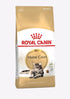 Royal Canin Feline Breed Nutrition Maine Coon Dry Adult Cat Food - 2kg