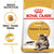 Royal Canin Feline Breed Nutrition Maine Coon Dry Adult Cat Food - 2kg - The Pets Club