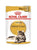 Royal Canin Feline Breed Nutrition Maine Coon Wet Cat Food - 12x85g - The Pets Club