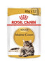 Royal Canin Feline Breed Nutrition Maine Coon Wet Cat Food - 12x85g