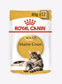 Royal Canin Feline Breed Nutrition Maine Coon Wet Cat Food - 12x85g