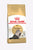 Royal Canin Feline Breed Nutrition Persian Adult Dry Cat Food - The Pets Club