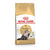 Royal Canin Feline Breed Nutrition Persian Adult Dry Cat Food - 400g - The Pets Club