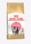 Royal Canin Feline Breed Nutrition Persian Dry Kitten Food - The Pets Club