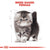 Royal Canin Feline Breed Nutrition Persian Dry Kitten Food - The Pets Club