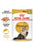 Royal Canin Feline Breed Nutrition Persian Wet Cat Food - 85g - The Pets Club
