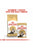 Royal Canin Feline Breed Nutrition Persian Wet Cat Food - 85g - The Pets Club