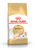 Royal Canin Feline Breed Nutrition Sphynx Dry Cat Food - 2 Kg - The Pets Club