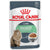 Royal Canin Feline Care Nutrition Digest Sensitive Gravy Wet Cat Food -12x85g - The Pets Club