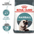 Royal Canin Feline Care Nutrition Hairball Care Dry Cat Food - 400g - The Pets Club