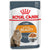 Royal Canin Feline Care Nutrition Intense Beauty Jelly Wet Cat Food - 85g - The Pets Club