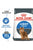 Royal Canin Feline Care Nutrition Light Weight Care Adult Dry Cat Food - 400g - The Pets Club