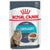 Royal Canin Feline Care Nutrition Urinary Care Gravy Wet Cat Food -12x85g - The Pets Club