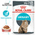 Royal Canin Feline Care Nutrition Urinary Care (Wet Food - Pouches) -12x85g - The Pets Club
