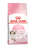 Royal Canin Feline Health Nutrition Dry Kitten Food - The Pets Club