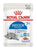 Royal Canin Feline Health Nutrition Indoor 7+ Jelly Wet Cat Food - The Pets Club