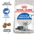Royal Canin Feline Health Nutrition Indoor 7+ Years Dry Cat Food - The Pets Club