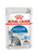 Royal Canin Feline Health Nutrition Indoor Jelly Wet Cat Food - 12x85g - The Pets Club