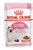 Royal Canin Feline Health Nutrition Kitten Gravy Wet Cat Food - 85g - The Pets Club
