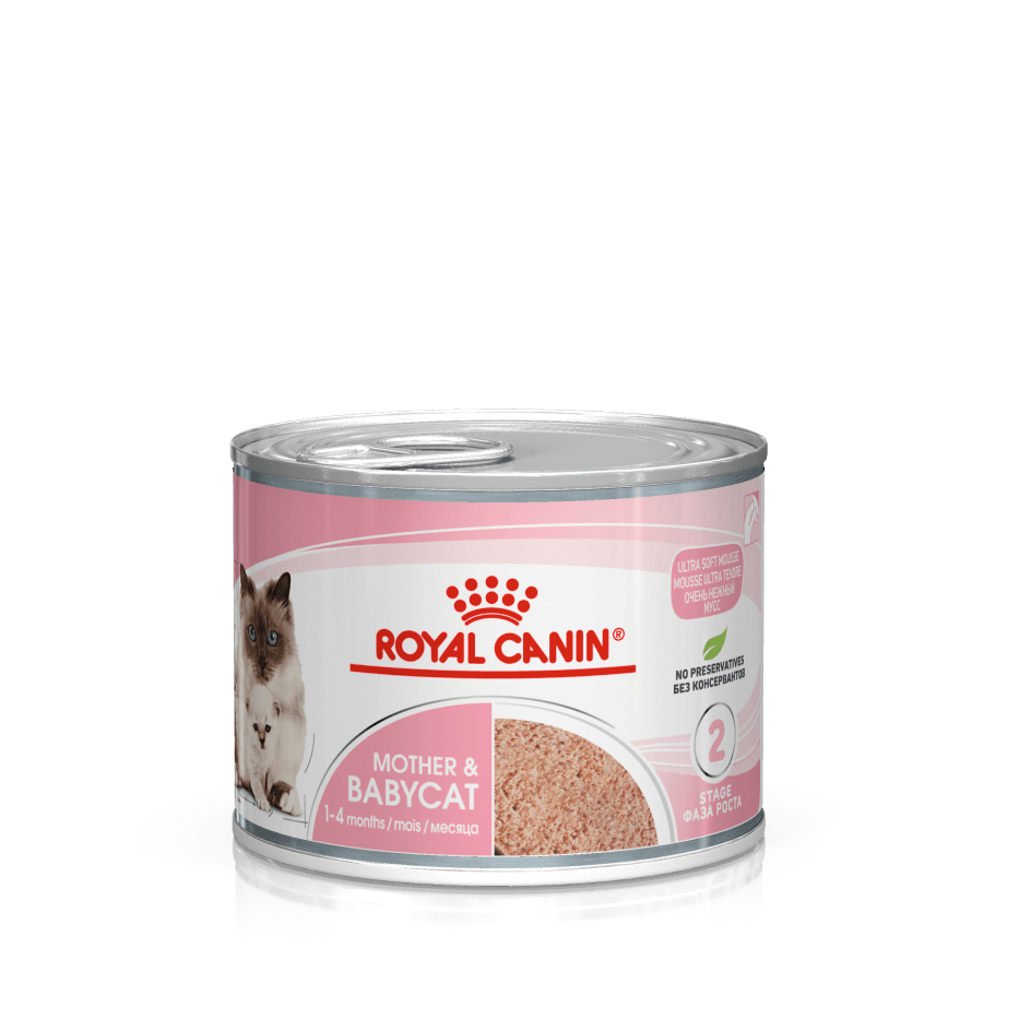 Royal Canin Feline Health Nutrition Mother Babycat Mousse Wet