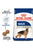 Royal Canin Size Health Nutrition Maxi Adult Dry Dog Food - The Pets Club