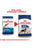 Royal Canin Size Health Nutrition Maxi Adult Dry Dog Food - The Pets Club