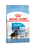 Royal Canin Size Health Nutrition Maxi Dry Puppy Food - The Pets Club