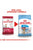 Royal Canin Size Health Nutrition Medium Dry Puppy Food - The Pets Club
