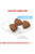 Royal Canin Size Health Nutrition Medium Starter Dry Dog Food - 4kg - The Pets Club