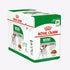 Royal Canin Size Health Nutrition Mini Adult Wet Dog Food - 12x85g