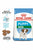 Royal Canin Size Health Nutrition Mini Dry Puppy Food - The Pets Club