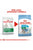 Royal Canin Size Health Nutrition Mini Starter Dry Dog Food - 1kg - The Pets Club