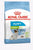 Royal Canin Size Health Nutrition XS Dry Puppy Food - 1.5kg - The Pets Club
