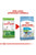 Royal Canin Size Health Nutrition XS Dry Puppy Food - 1.5kg - The Pets Club