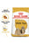 ROYAL CANIN SHIH TZU ADULT DRY FOOD - ThePetsClub