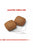 ROYAL CANIN SIZE HEALTH NUTRITION GIANT PUPPY DRY FOOD - ThePetsClub