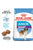 ROYAL CANIN SIZE HEALTH NUTRITION GIANT PUPPY DRY FOOD - ThePetsClub