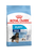 ROYAL CANIN SIZE HEALTH NUTRITION MAXI PUPPY DRY FOOD - ThePetsClub