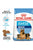 ROYAL CANIN SIZE HEALTH NUTRITION MAXI STARTER DRY FOOD - ThePetsClub