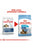 ROYAL CANIN SIZE HEALTH NUTRITION MAXI STARTER DRY FOOD - ThePetsClub