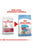 ROYAL CANIN SIZE HEALTH NUTRITION MEDIUM STARTER DRY FOOD - ThePetsClub