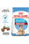 ROYAL CANIN SIZE HEALTH NUTRITION MEDIUM STARTER DRY FOOD - ThePetsClub