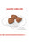 ROYAL CANIN SIZE HEALTH NUTRITION MINI INDOOR PUPPY DRY FOOD - ThePetsClub