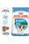 ROYAL CANIN SIZE HEALTH NUTRITION MINI PUPPY DRY FOOD - ThePetsClub