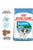 ROYAL CANIN SIZE HEALTH HEALTH NUTRITION MINI PUPY DRY FOOD - ThePETSClub