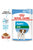 ROYAL CANIN SIZE HEALTH NUTRITION MINI PUPPY WET FOOD - ThePetsClub