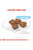ROYAL CANIN SIZE HEALTH NUTRITION MINI STARTER DRY FOOD - ThePetsClub