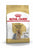 ROYAL CANIN YORKSHIRE ADULT DRY DOG FOOD - ThePetsClub