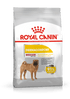 Royal Canine Care Nutrition Medium Dermacomfort Dry Dog Food