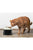 Savic Ergo Cube Cat Food Bowl - ThePetsClub